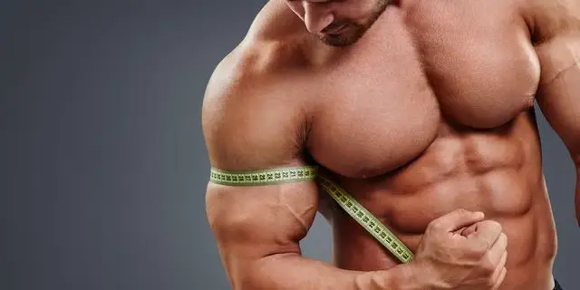muscle gain tips 